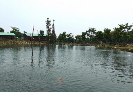 暑いけど釣れる ～フィッシングパーク高島の泉～